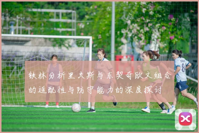 铁林分析里夫斯与东契奇欧文组合的适配性与防守能力的深度探讨