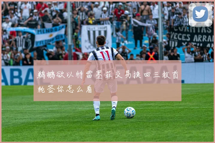 鹈鹕欲以特雷墨菲交易换回三枚首轮签你怎么看